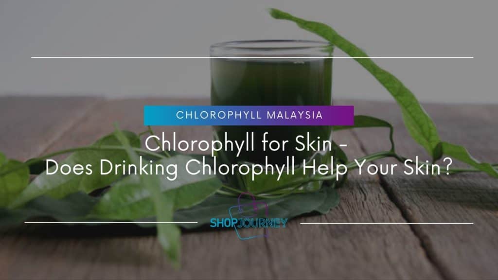 Chlorophyll for Skin - Does Drinking Chlorophyll Help Your Skin - Shop Journey
