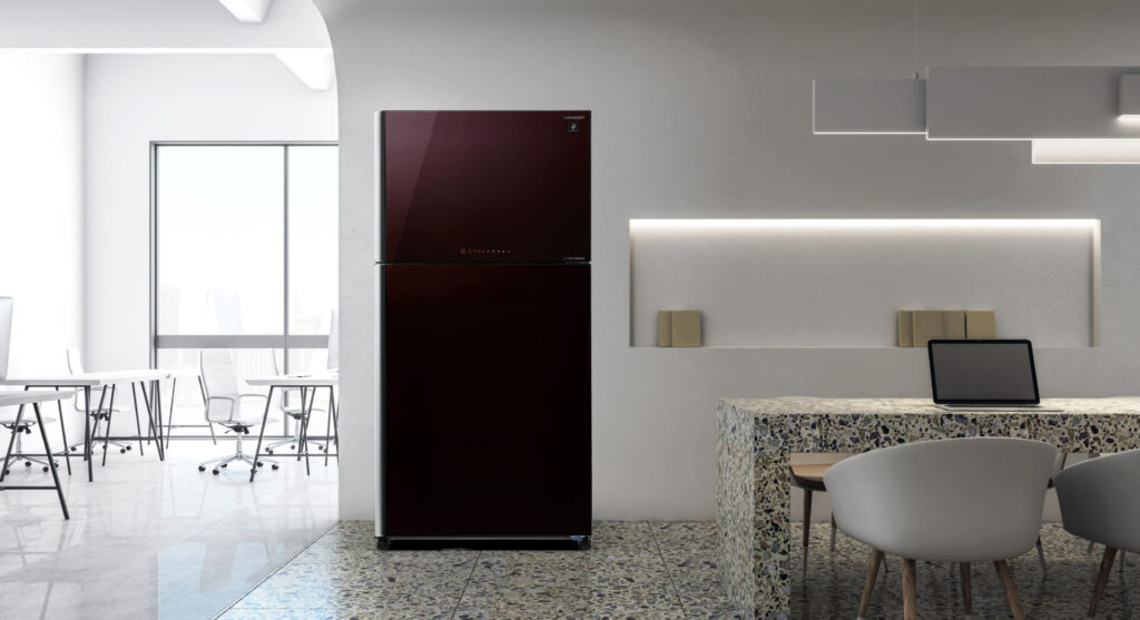 Things To Consider Before Buying a Fridge-Special Features